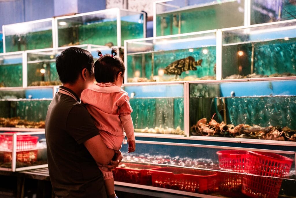 Guests choosing live seafood from tanks at White Sail Hoi An