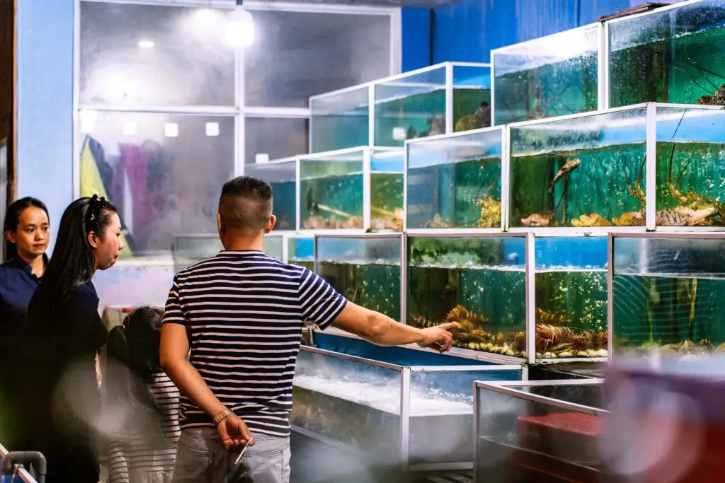 Live-tank seafood at White Sail Hoi An Seafood Restaurant in Hoi An Old Town